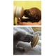 thumbnail image 3 of Chupón De Lactancia The Para Cachorro Pequeño, 3 of 3