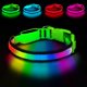 thumbnail image 1 of Collar LED PWOD para perros, pequeño, verde, impermeable, 1 of 6