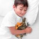 thumbnail image 5 of Juguete de dinosaurio de peluche ArtCreativity Cozy Stegosaurus de 35 cm para niños, 5 of 5