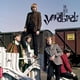 thumbnail image 1 of Vinilo Charly The Best of the Yardbirds LP azul, 1 of 1