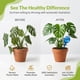 thumbnail image 2 of Globos de riego para plantas Little Green Leaf, juego de 6 (350 ml), 2 of 8