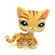 thumbnail image 1 of Mini Pet Toy CFC-LLBR - Figura rara de tigre, gato y gatito, color amarillo, 1 of 4