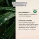 thumbnail image 4 of Shampoo + Acondicionador Cañamo 350ml Naturaloe, 4 of 7