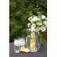 thumbnail image 5 of Pitcher Prodyne, sabor a infusión de frutas, 2,75 L, transparente, 5 of 9