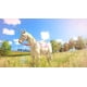 thumbnail image 2 of Videojuego Nintendo Switch The Unicorn Princess, 2 of 6