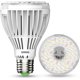 thumbnail image 1 of Ampolleta LED SANSI PAR25 para cultivo, 30 W, 5000 K, 1 of 3