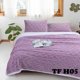 thumbnail image 1 of Frazada con Chiporro 1.5 Plazas + 1 Funda de Almohada - Lila TFH05, 1 of 1