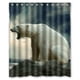 thumbnail image 1 of Cortina de ducha con diseño de oso polar, con ganchos, 60 x 72 pulgadas, 1 of 3
