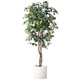 thumbnail image 2 of Planta Artificial Decorativa Arbol Grande Ficus 180cm 1260h, 2 of 9