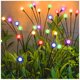 thumbnail image 1 of Luces Solares para Jardín TONULAX Starburst RGB de Cambio de Color - Pack de 2, 1 of 6