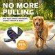 thumbnail image 2 of Embark No Pull Dog Harness, Reflective Adjustable Training Vest, Medium, 2 of 3