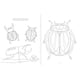 thumbnail image 4 of Insectopinta blanco, 4 of 6