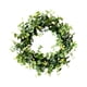 thumbnail image 2 of Guirnalda De Hojas Verdes Colgante Floral Romántico Para Puertas Delanteras Tienda Ventanas Estilo D, 2 of 4