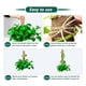 thumbnail image 5 of Juego De 9 Tutor De Musgo Para Plantas 43 Cm, 5 of 7