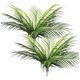 thumbnail image 3 of Ramo flor palma pack 15 hojas decoración, 3 of 3