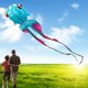 thumbnail image 5 of Kite Catch&Hunt, 43 pies, grande, para adultos, peces de colores 3D sin marco, 5 of 7