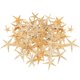 thumbnail image 4 of Natural Starfish Seashells Wedding Display Craft Acuario Decoraciones, 4 of 4
