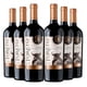thumbnail image 1 of 6 Vinos Gran Rva Carmenere, 750 ml, 14%, 1 of 3