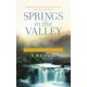 thumbnail image 1 of Libro HarperCollins "Manantiales en el Valle" - Devocional Diario, 1 of 1