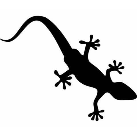 Rienda Libre Graphics - Decomural Gecko Lizard Reptile Animals Ws-18496