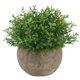 thumbnail image 1 of Planta Artificial Ogrmar de 12 cm con Hoja Verde en Maceta, 1 of 5