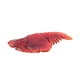 thumbnail image 5 of Juguetes De Criaturas Marinas Realistas Educativos Para Decoraciones Colección De Regalos Squilla, 5 of 5