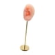 thumbnail image 5 of Moldes De Oreja De Silicona Soporte De Exhibición De Aretes Accesorios De Exhibición De Fotografía Escaparate Rosa Izquierda, 5 of 5