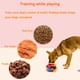 thumbnail image 5 of Snuffle Ball Para Perros Pequeños Interactiva Con Bolsa De Almacenamiento, 5 of 6