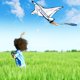 thumbnail image 3 of Nave espacial Kite JOYIN fácil de volar para niños y adultos, 3 of 8