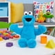 thumbnail image 5 of Peluche con forma de monstruo de galletas de Sesame Street Friends, 20 cm, 5 of 6