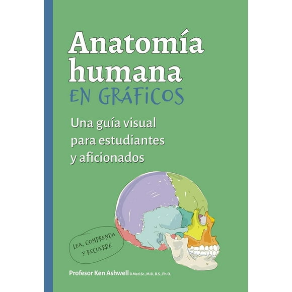 Anatomía Humana En Gráficos