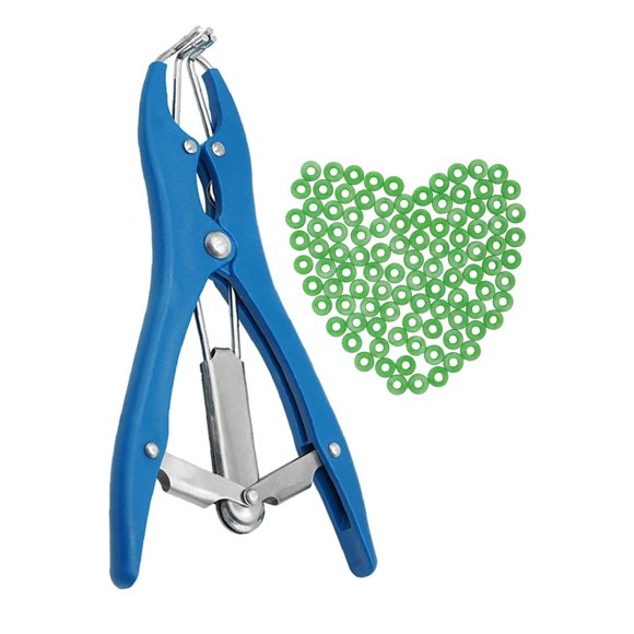 Cinturón de castración MACGOAL 21 cm con 100 anillos