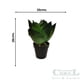 thumbnail image 2 of Planta Decorativa Agave 28Cm, 2 of 3
