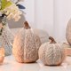 thumbnail image 1 of Decoración de Calabaza AOMOONOA de Resina Marrón y Blanca 11x10 cm, 1 of 9