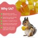thumbnail image 5 of Golosinas Nutritivas De Frutas Con Forma De Hocico Y Cáscara Para Mascotas 40 Tazas, 5 of 5