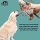 thumbnail image 5 of Armadillo Hollypet de peluche para perros de todas las razas, 5 of 8