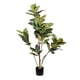 thumbnail image 1 of Planta Artificial Gomero 120 Cm, 1 of 2