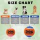 thumbnail image 4 of Pelotas de tenis AMA SPORT de 6 cm con chirrido - Pack de 16, 4 of 7