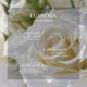 thumbnail image 4 of Perfume EMBAROUGE Lumiora Eau De Parfum 100 ml para mujer, 4 of 9