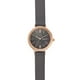 thumbnail image 1 of Reloj Skagen Mujer SKW2909, 1 of 6