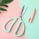 thumbnail image 1 of Multi-Purpose Stainless Steel Scissors for Home, School, and Office with Protective Cover, 1 of 4