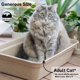 thumbnail image 5 of Caja de arena desechable Luli & Cat Jumbo - Pack de 4, 5 of 6