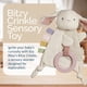 thumbnail image 2 of Juguete sensorial Itzy Ritzy Bitzy Crinkle Bunny con anillo de dentición, 2 of 7