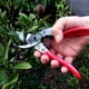 thumbnail image 2 of Tijeras de podar profesionales para jardinería, hojas afiladas de acero inoxidable, mangos cómodos para un corte fácil, ideales para jardineros domésticos y profesionales., 2 of 5