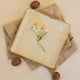 thumbnail image 3 of Juego de loza Cerámica 16 piezas Vajilla Oslo crema, 3 of 5