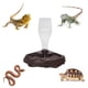 thumbnail image 2 of 400ml Reptil Alimentador De Agua Dispensador De Agua Automático Waterer 1feeding Accesorios Para Tortugas Barbados Dragones Lagartos Para Terrarium Tank (marrón), 2 of 3