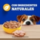 thumbnail image 4 of Alimento Húmedo Perro Adulto Raza Pequeña Sabor Pollo Pouch, 100 g, 4 of 9