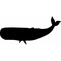 Rienda Libre Graphics - Decomural Blue Whale Under The Sea Pack Ws-33229