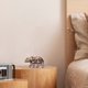 thumbnail image 5 of Decoración mural Honoson Forest Animal Wood Farmhouse Brown, 5 of 7