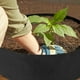 thumbnail image 5 of Bolsas para cultivo de plantas, macetas redondas elevadas para jardín, contenedor de tela transpirable y duradero para patatas, verduras y frutas, jardinería y exteriores., 5 of 5
